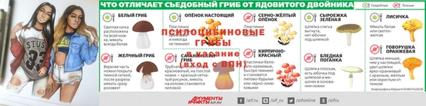 ECSTASY Медногорск