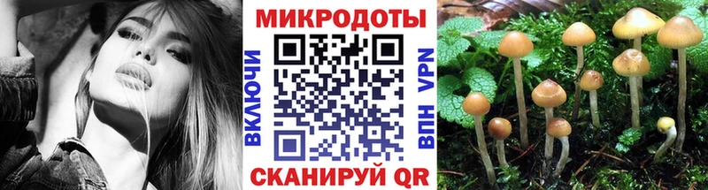 Галлюциногенные грибы MAGIC MUSHROOMS  Купить  Кирсанов 